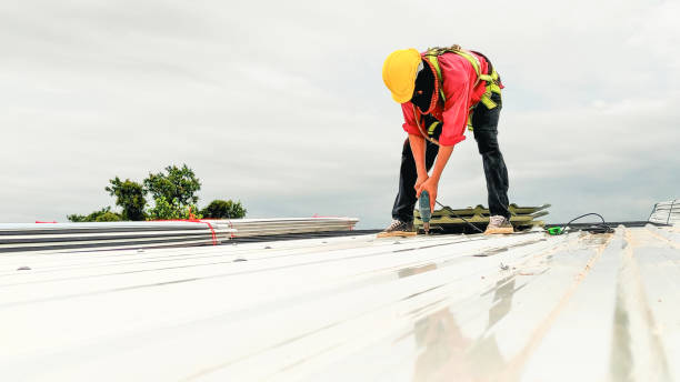 Best Roof Insulation Installation  in El Verano, CA